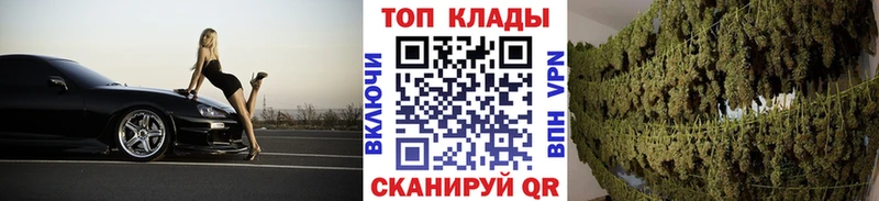 A-PVP Павловск