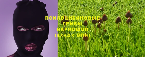 mix Бородино
