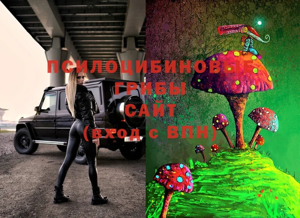 mix Бородино